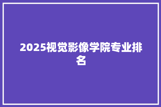 2025视觉影像学院专业排名