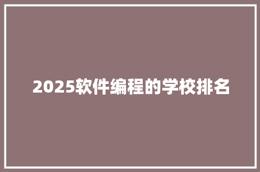 2025软件编程的学校排名