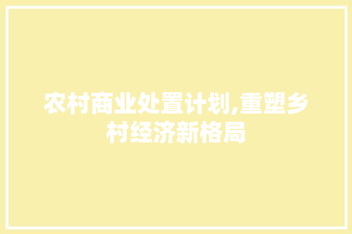 农村商业处置计划,重塑乡村经济新格局