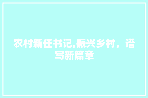 农村新任书记,振兴乡村，谱写新篇章