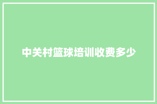 中关村篮球培训收费多少
