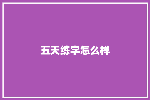 五天练字怎么样