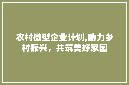 农村微型企业计划,助力乡村振兴，共筑美好家园