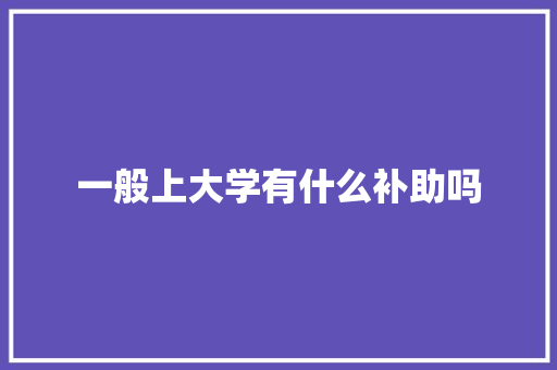 一般上大学有什么补助吗