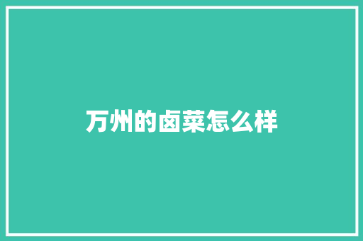 万州的卤菜怎么样