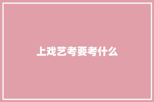 上戏艺考要考什么