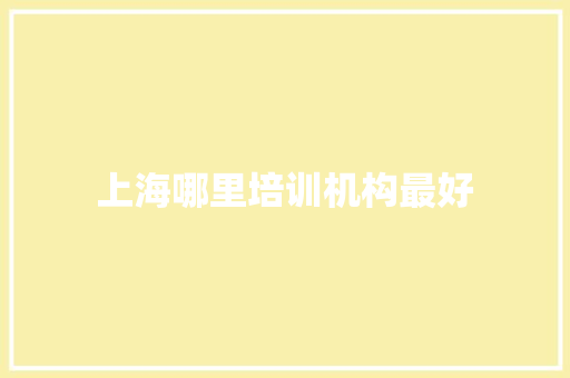 上海哪里培训机构最好