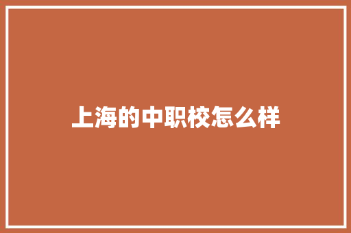 上海的中职校怎么样