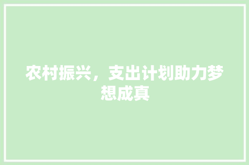 农村振兴，支出计划助力梦想成真