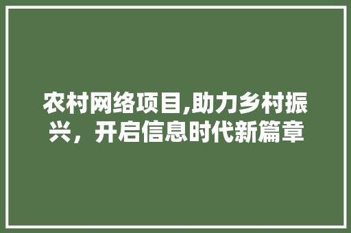 农村网络项目,助力乡村振兴，开启信息时代新篇章