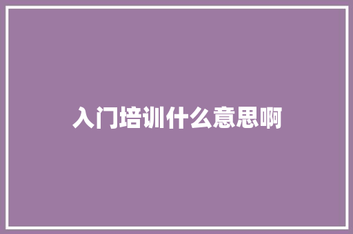 入门培训什么意思啊