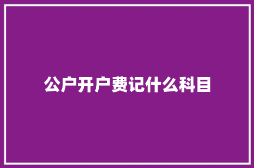 公户开户费记什么科目
