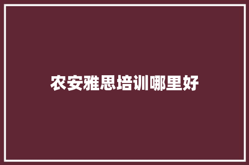 农安雅思培训哪里好