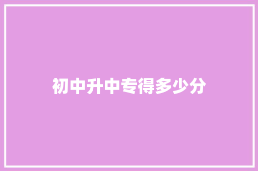 初中升中专得多少分