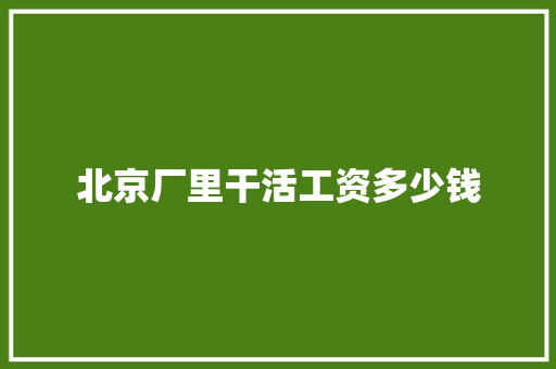 北京厂里干活工资多少钱