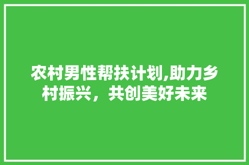 农村男性帮扶计划,助力乡村振兴，共创美好未来