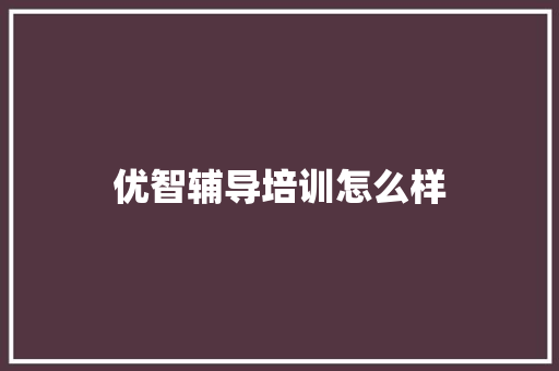 优智辅导培训怎么样