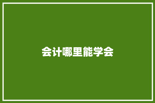 会计哪里能学会