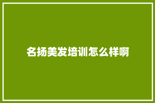 名扬美发培训怎么样啊