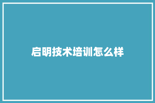 启明技术培训怎么样