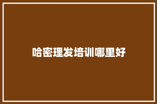哈密理发培训哪里好