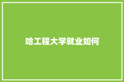 哈工程大学就业如何