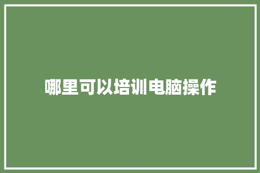 哪里可以培训电脑操作