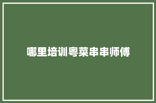 哪里培训粤菜串串师傅