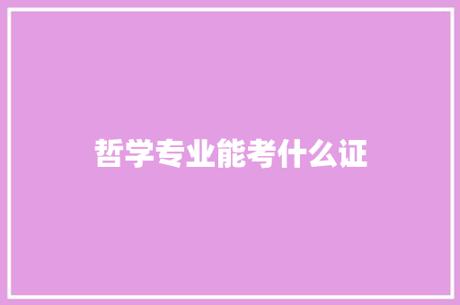 哲学专业能考什么证