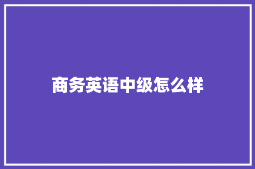 商务英语中级怎么样