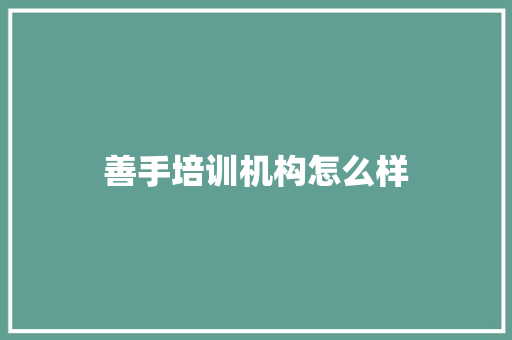 善手培训机构怎么样