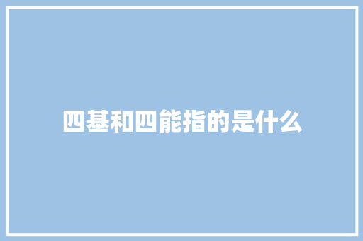 四基和四能指的是什么