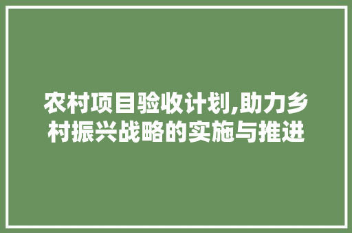 农村项目验收计划,助力乡村振兴战略的实施与推进