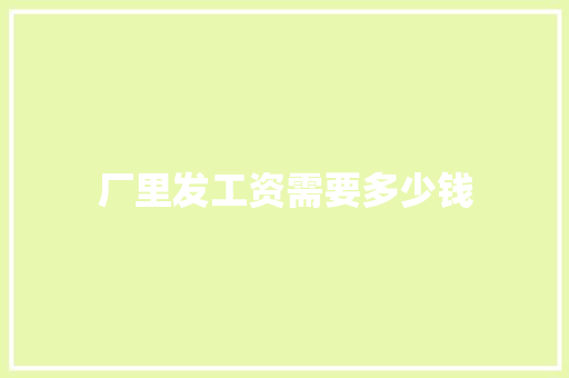 厂里发工资需要多少钱