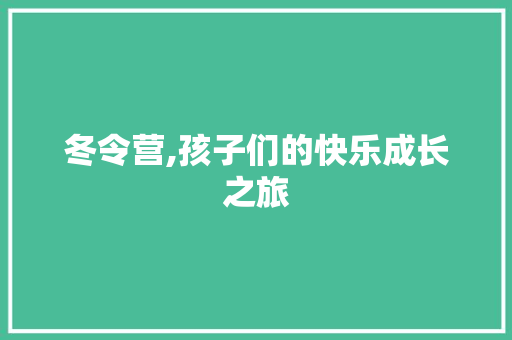 冬令营,孩子们的快乐成长之旅