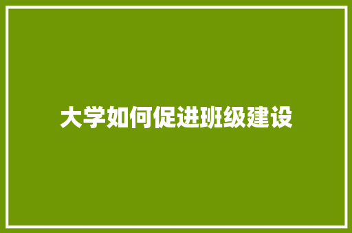 大学如何促进班级建设