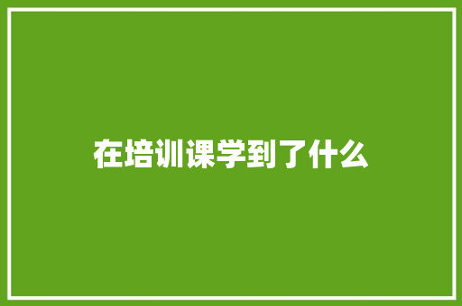在培训课学到了什么