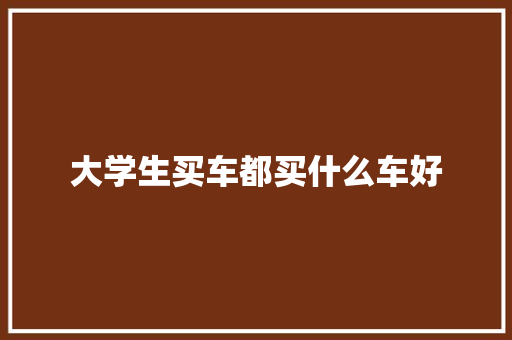 大学生买车都买什么车好