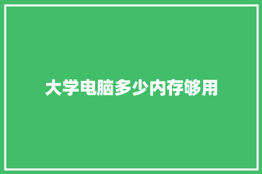 大学电脑多少内存够用