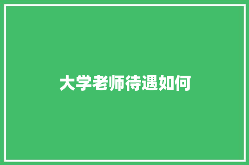 大学老师待遇如何