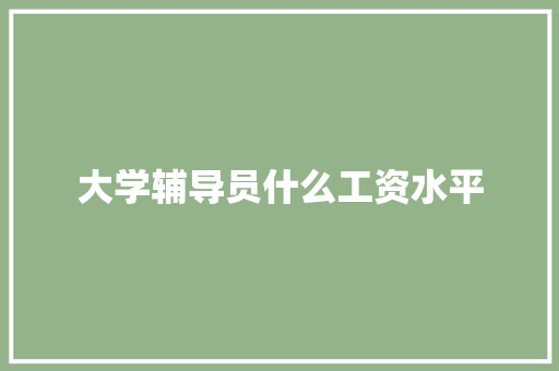 大学辅导员什么工资水平