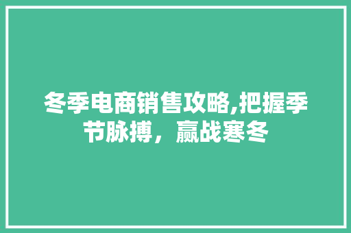 冬季电商销售攻略,把握季节脉搏，赢战寒冬