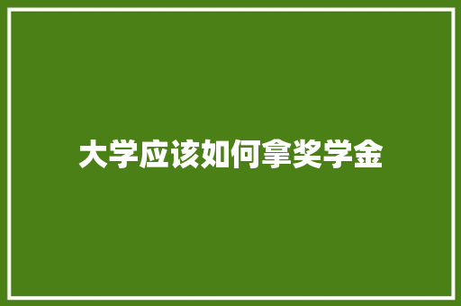 大学应该如何拿奖学金