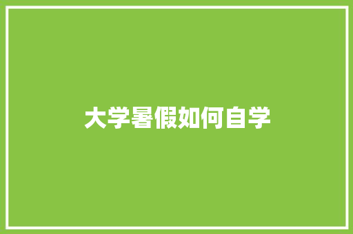 大学暑假如何自学