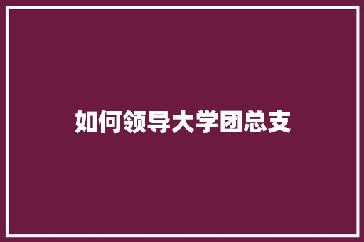 如何领导大学团总支