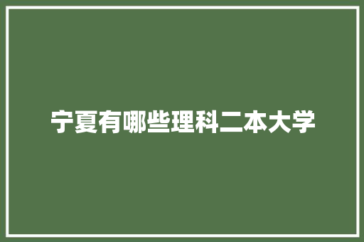 宁夏有哪些理科二本大学
