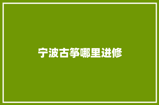 宁波古筝哪里进修