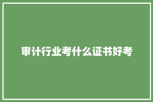 审计行业考什么证书好考