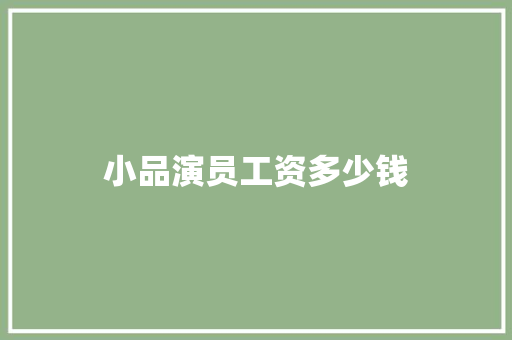 小品演员工资多少钱