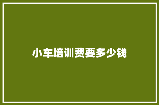 小车培训费要多少钱